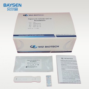 Alb Test Urine Test Microalbumin IVD Rapid Bvunzo Kit