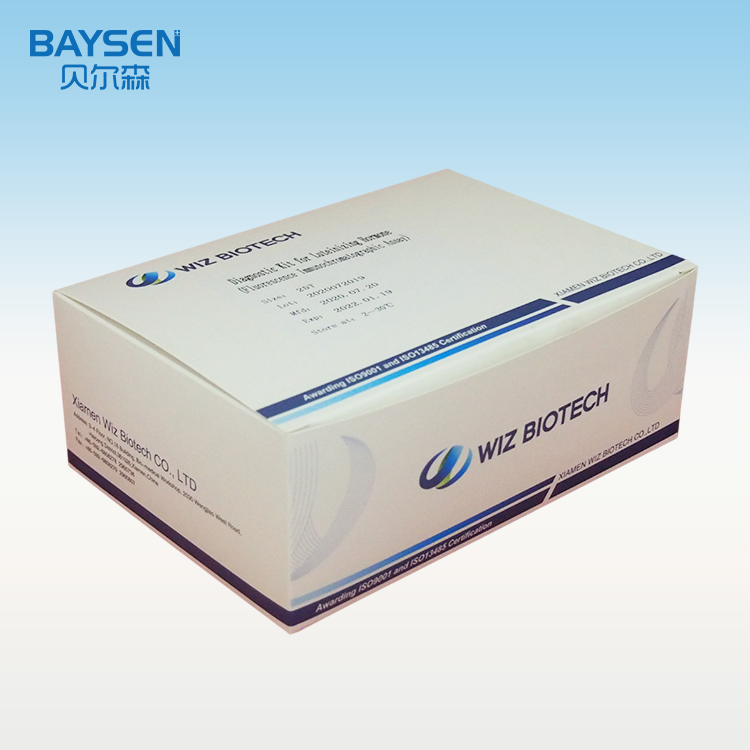 Reasonable price Helicobacter Test - Original Factory China CE&Bfarm Listed Rapid Test Antigen Test Kit Rapid Diagnostic Test Kit Whitelist – Baysen