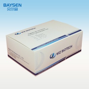 Fer Rapid Test Kit IVD Reagent Ferrtin Kit