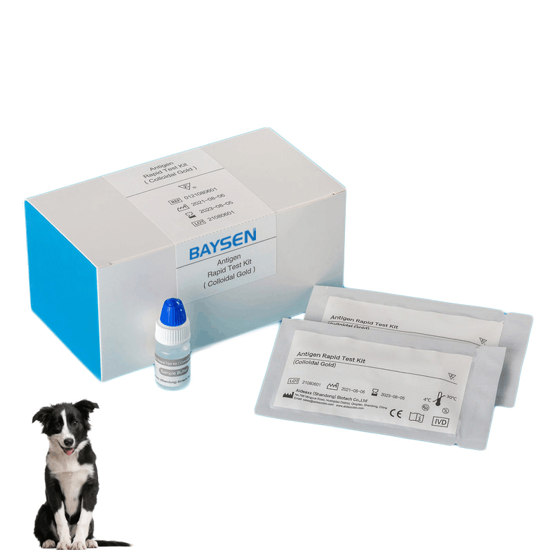 Low price for Rapid Kit Analyzer - Canine Distemper Virus CDV Antigen Rapid Test Kit – Baysen