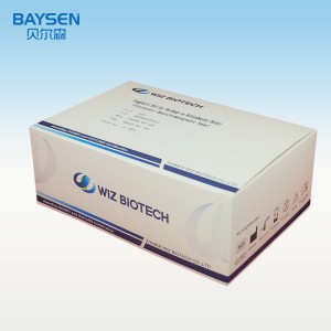 Helicobacter pylori에 대한 항체에 대한 진단 키트 (형광 면역 크로마토 그래피 분석)