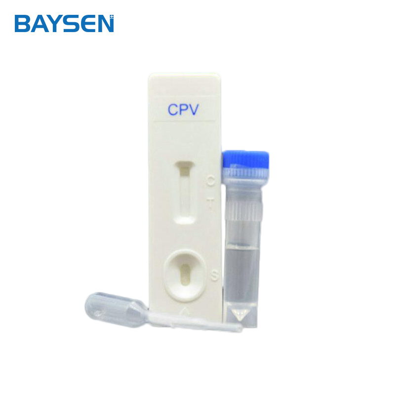 Reasonable price for Groundwater Lever Meter - high quality veterinary CDV Rapid test Canine – Baysen