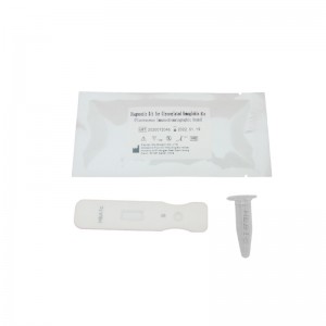 Discountable Price China POCT Clinical/Laboratory Blood Rapid Test Kit T4/HBA1c/TSH/CRP/PCT/CK-MB/CTNI/MYO/PSA/D-Dimer Medisinsk utstyr