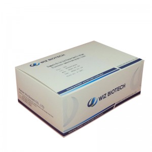 AFP Test Alpha Fetoprotein Test Strips Blood Analyzer