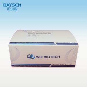 Diagnostic kit alang sa carcino-embryonic antigen (Fluorescence immunochromatographic assay)