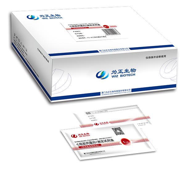 Fixed Competitive Price Hcv Rapid Test Strip - Diagnostic Kit for Antibody to Helicobacter Pylori(Fluorescence Immunochromatographic Assay) – Baysen