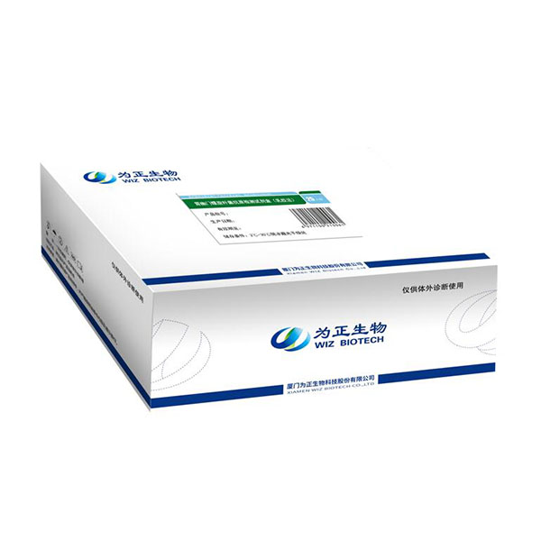 professional factory for Psa Fluorescence Immunoassay Analyzer - Diagnostic Kit（LATEX）for Antigen to Helicobacter Pylori – Baysen