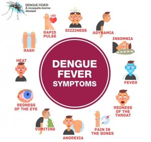 Dengue+feber+symptom-640w