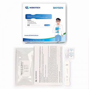 Fluorescence Immuno Assay Gastrin 17 diagnostic kit