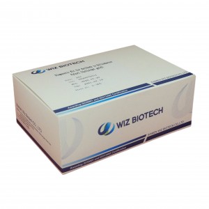 Diagnostic Kit for Helicobacter Pylori Antibody