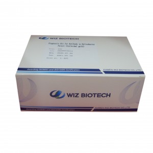 Kete Tohu mo te Helicobacter Pylori Antibody