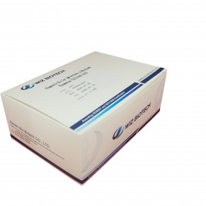 Kit de diagnóstico para anticuerpos IgM contra Mycoplasma Pnemoniae oro coloidal