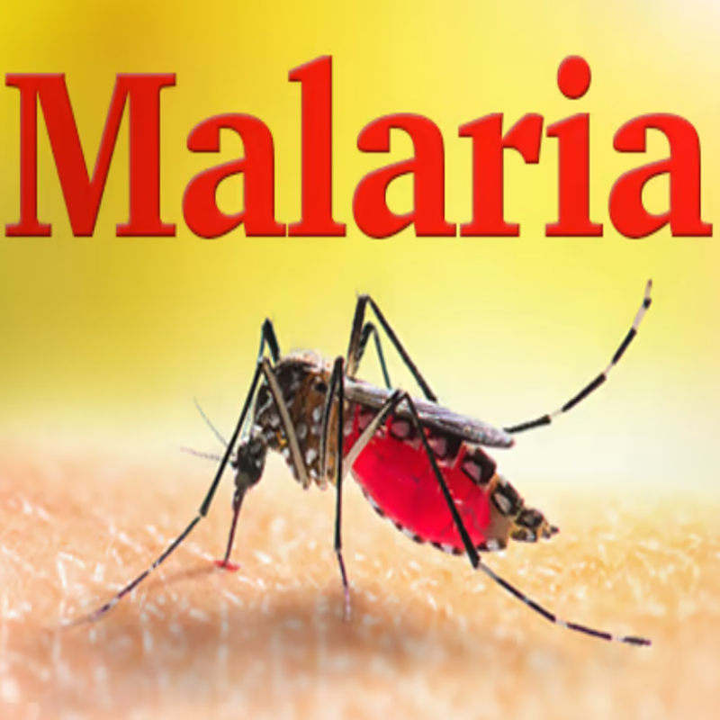 Ciamar a chuireas tu casg air malaria?