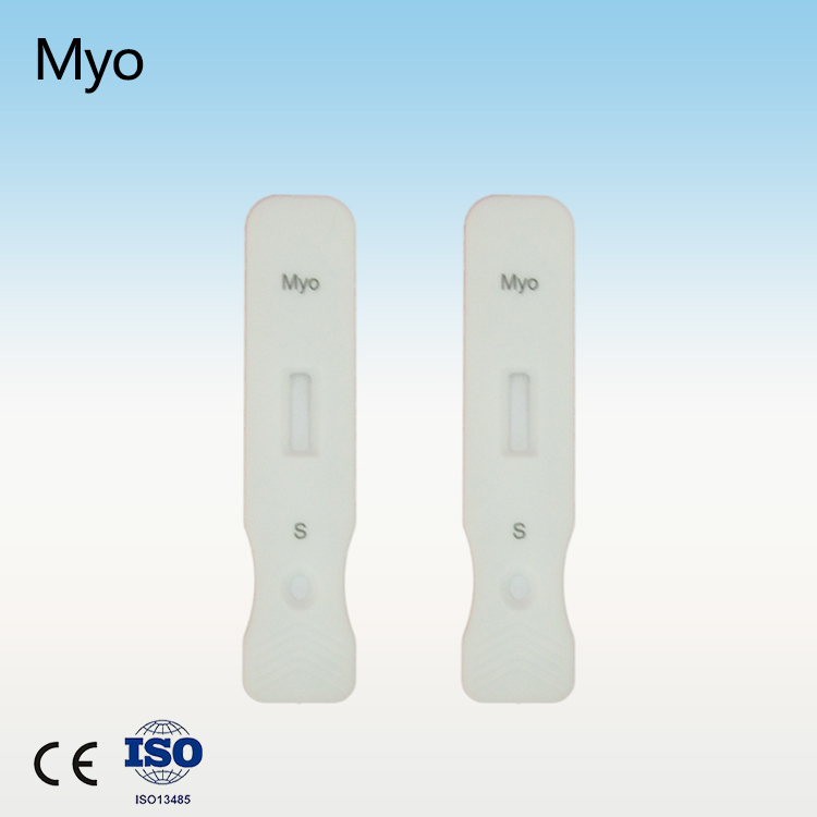 China Supplier Hcv Cassette - Myoglobin rapid test kit myo diagnostic kit – Baysen