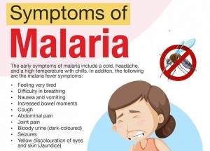 Symptoms+of+Malaria-1920w