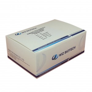 Diagnostic kit for Anibody to Treponema Pallidum Colloidal Gold