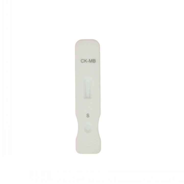 OEM/ODM Manufacturer Crp Lateral Flow Test Kit - Diagnostic Kit for Isoenzyme MB of Creatine Kinase(fluorescence immunochromatographic assay) – Baysen