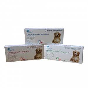 Canine Distemper virus CDV-antigentestilo