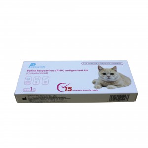 Feline Herpesvirus FHV antigen synag toplumy